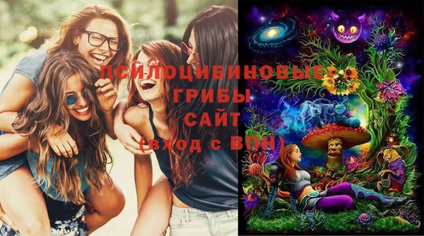 кокаин премиум Ельня
