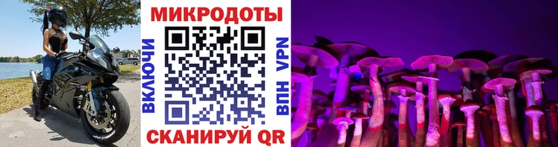Купить  Княгинино  Галлюциногенные грибы мухоморы 