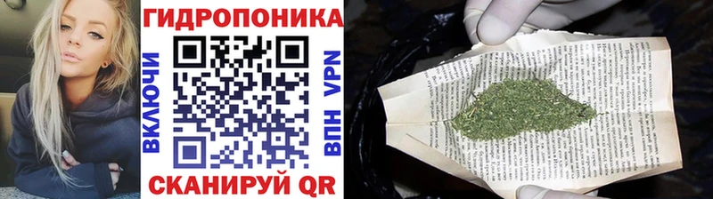 Купить где  Княгинино  Шишки марихуана OG Kush 